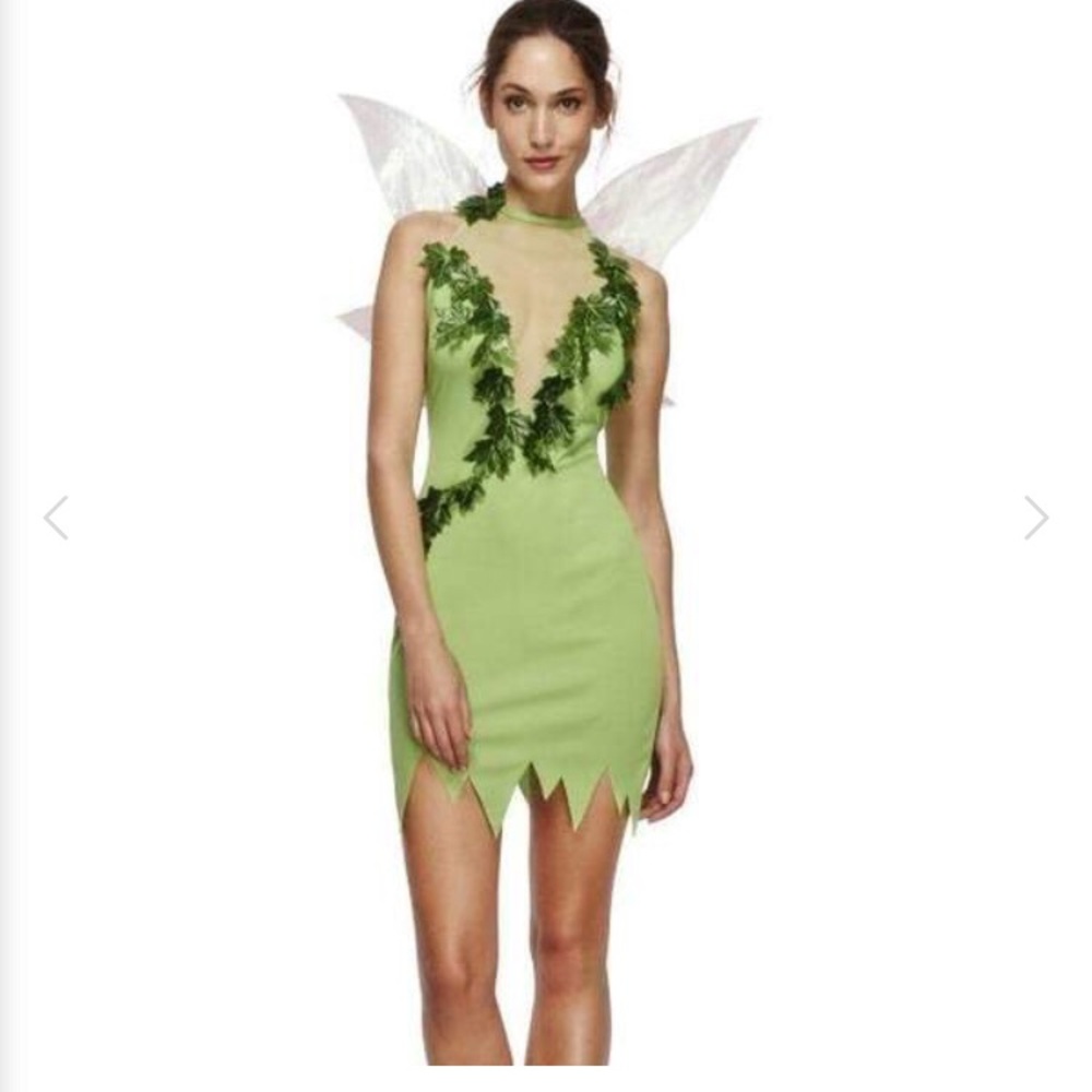 Magical Fairy Costume